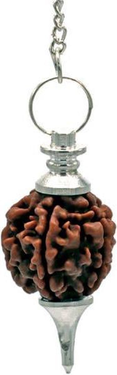 Rudraksha Pendel zilverkleurig - 4.5 cm - 10 g