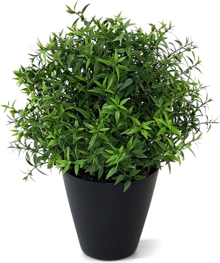 Eucalyptus kunstplant 35cm