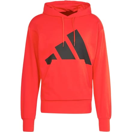 Hoodie adidas Essentials Big Logo