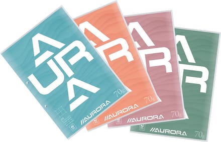 Aurora Cursusblok - Schrijfblok - A4 - 2-rings - Ruit 10x10mm - 100 vel - 70gr - 10 stuks