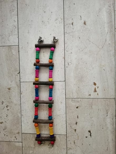Parkietenladder