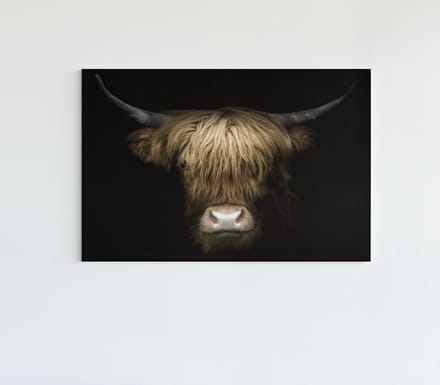Canvas Schilderij - Hoogland Koe - Wanddecoratie - 90x60x2 cm