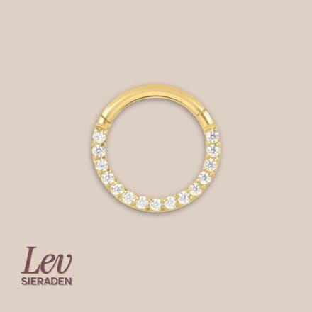 Lev Sieraden - Titanium click ring piercing 1.2x9mm - Zirkonia vooraan - Goud - Piercing - neuspiercing - tragus piercing - Oorpiercing - Segment ring tepel navel