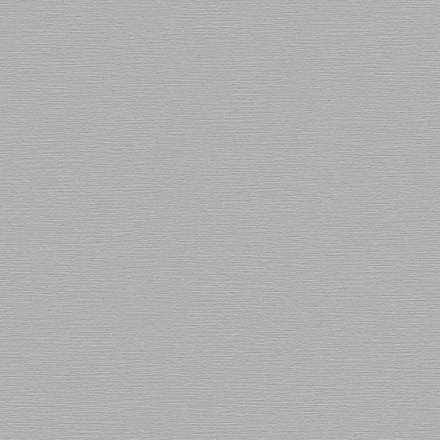Beaux arts 2 charcoal texture BA220073