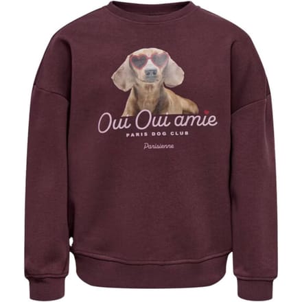 ONLY - KOGBILA L/S OVZ PRINT O-NECK SWT NOOS Dames Trui
