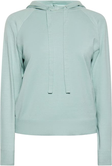 usha Hoodie