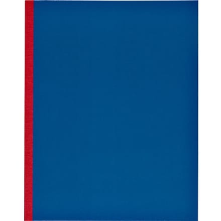 Kassenbuch 165x210mm 160 Seiten 1 Spalte roter Rücken sortiert