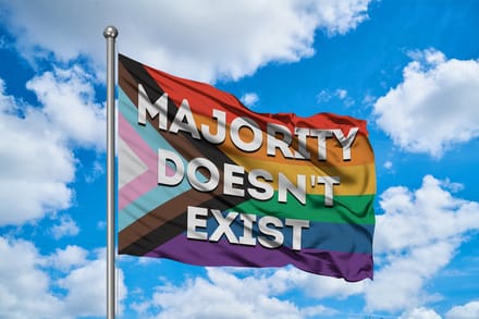 Majority Doesn't Exist - De Progress Pride Vlag Pride Flag - 120x80cm