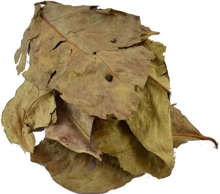 De Kruidenbaron - Daun Salamblad - strooibus 10 gram