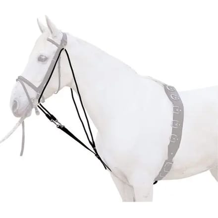 Gogue voor paard Lexhis