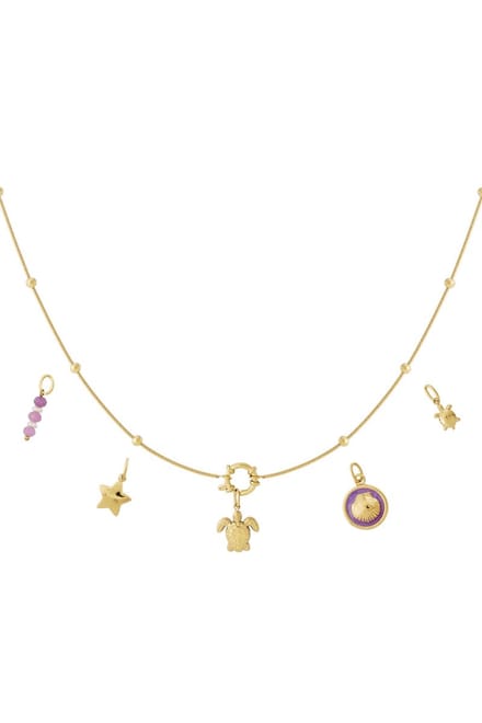 Goudlief DIY schildpad ketting - Roestvrijstaal - Verkleurt niet