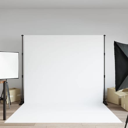 vidaXL - Achtergrondstandaard - 254x243 - cm - staal - zwart