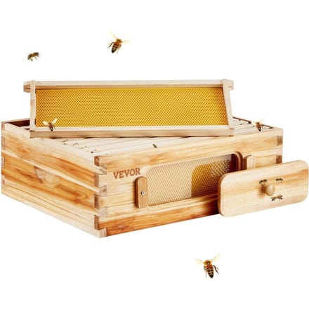 Ruche Langstroth Kit Ruche Moyenne 10 Cadres Fenêtres Acryliques pour Abeilles