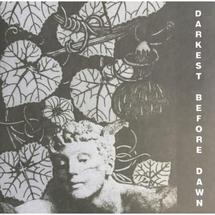 LP Plaat DARK DAY - Darkest Before Dawn DE263 Dark Entries 2019 VS Dans & Electronica gray