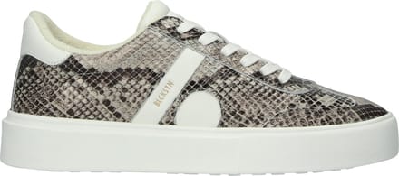 Blackstone QUARTZ AUDEN - EL280 Snake Grey - Sneaker (low) - Dames - Light brown - Maat: 41