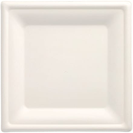 1x 100 Borden van suikerriet pure hoekig 20 cm x 20 cm wit