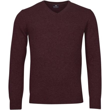 Baileys Trui V-Neck Uni Color Lambswool Aubergine / male