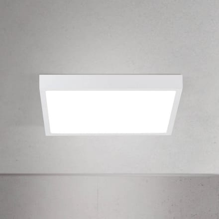 ORION LED plafondlamp Disc, wit, lengte 24 cm, CCT, metaal