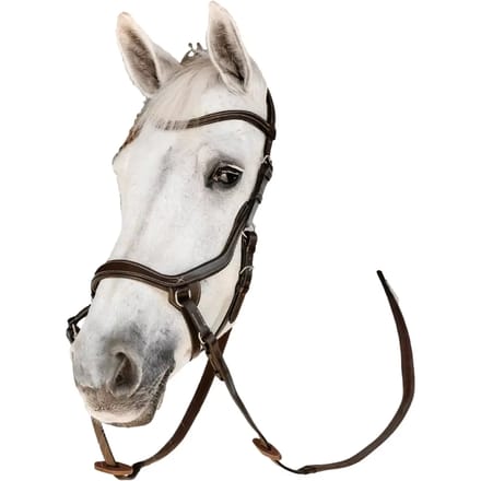 Bitloos hoofdstel voor paarden Horseware Micklem