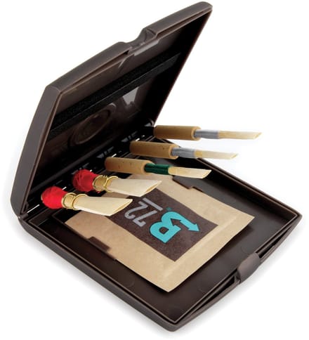 D'Addario RVCASE04 riet opberg box