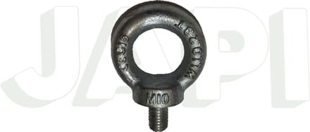 Oogbout DIN 580 verzinkt, M10 / 5stuks
