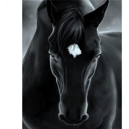 Diamant schilderij zwart paard foto van strass borduurwerk kruissteek volledige ronde ronde decor 20X30CM black