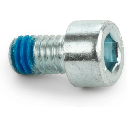 Screw