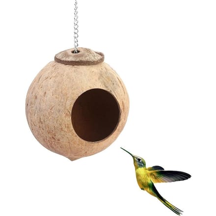 1 mangeoire à oiseaux en coquille de noix de coco naturelle avec trou de 6 cm beige