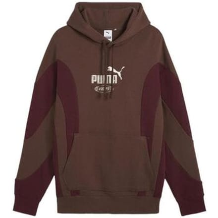Capuchon sweaters Puma Sweat