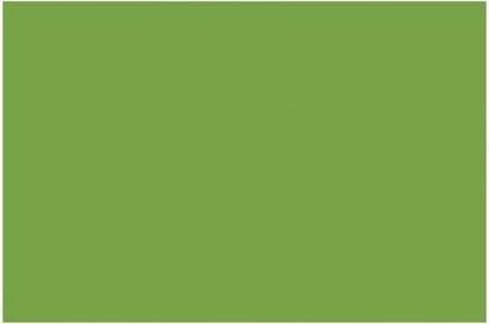 Tekenpapier Folia A4 mosgroen - 130gr pak 100 vel