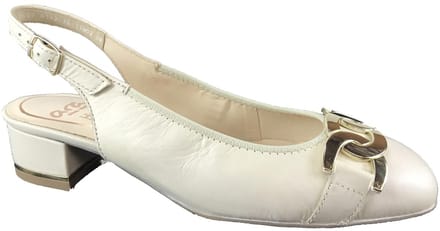 ARA PUMP - 11802