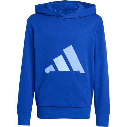 Adidas Essentials Hoodie Blauw 11-12 Years Kinderen