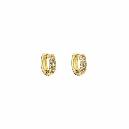Bijoutheek Oorringen Zirkonia Stenen Gold