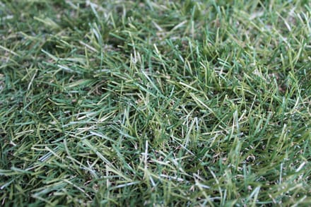Niba® Kunstgras - 1x3m² - 30mm - Grastapijt - Groen - UV bestendig