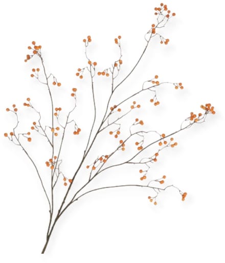 Daan Kromhout - Kunsttak - Besjes - Oranje - Silk Berry - Bessentak - 135 cm
