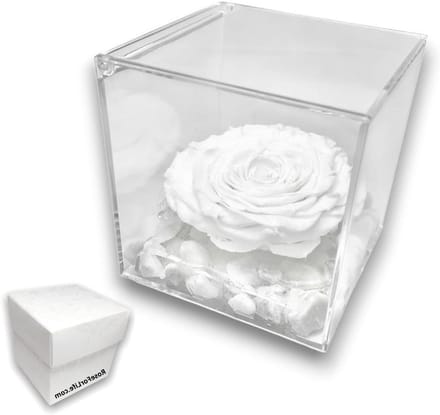 Gestabiliseerde Roos - Eeuwige Bloem - Cadeau Geven - Carrara Marmeren Basis - 12 cm Kubus - Wit