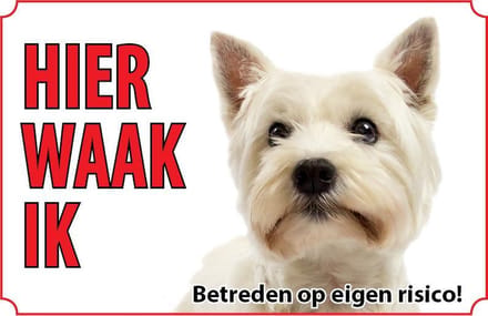 Bord - Hond-West-Highland-white-terriër