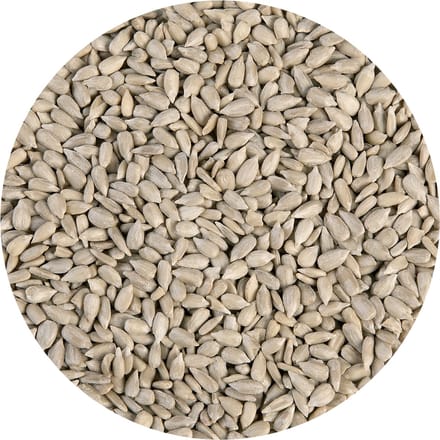 BrandNewCake Zonnebloempitten 250g