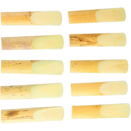 10 Stuks Altsaxofoon Riet Professioneel Traditioneel Riet Accessoire voor Altsaxofoon Sterkte Nr. beige