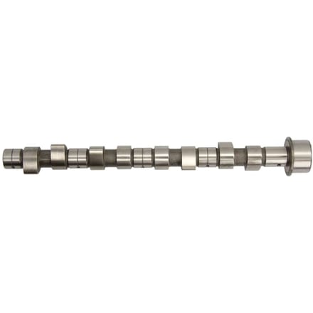 Nokkenas  AE CAM681