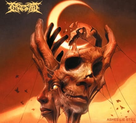 Ingested - Ashes Lie Still (CD)