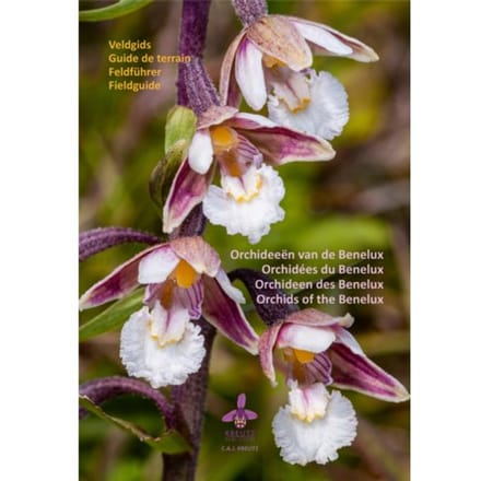 Orchideeën Van De Benelux - C.A.J. Kreutz