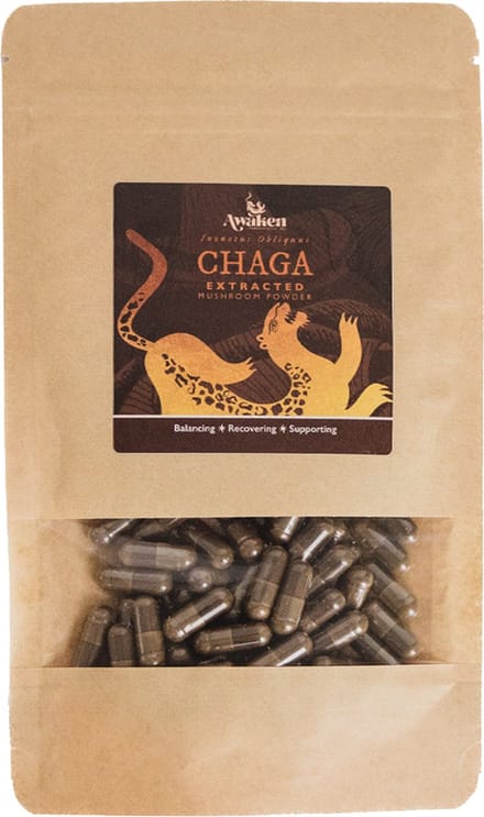 Awaken – Chaga Paddenstoelen Extract Capsules