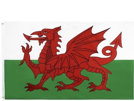 Go Go Gadget - Vlag - 90x150cm - Wales