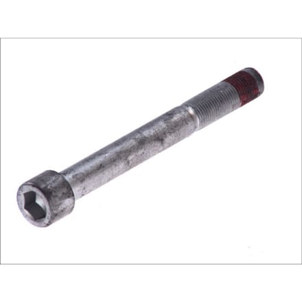 Schroef AUGER 55310