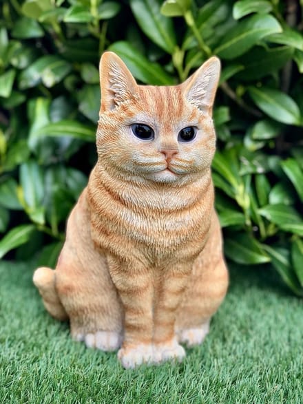 Kat/poes zittend groot | Britse korthaar rood/British shorthair ginger | 20x25x29cm