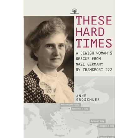 These Hard Times - Anne Groschler