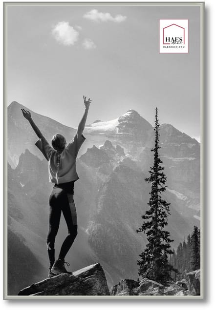HAES deco - Kunststof fotolijst 40x60 zilver Easy Frame - EF9S
