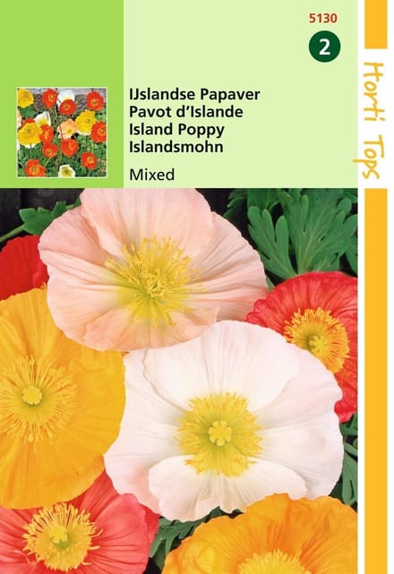 2 stuks - Hortitops - Papaver Nudicaule Excelsior Gemengd Ijslandse...