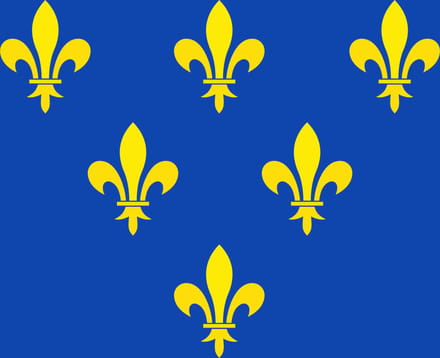 Vlag Donceel 150x225cm